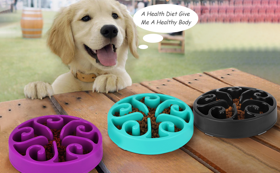 dog bowl