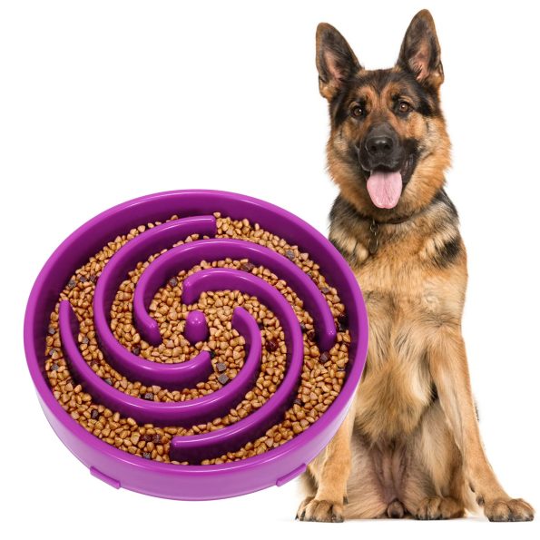 LargeF-Purple-01