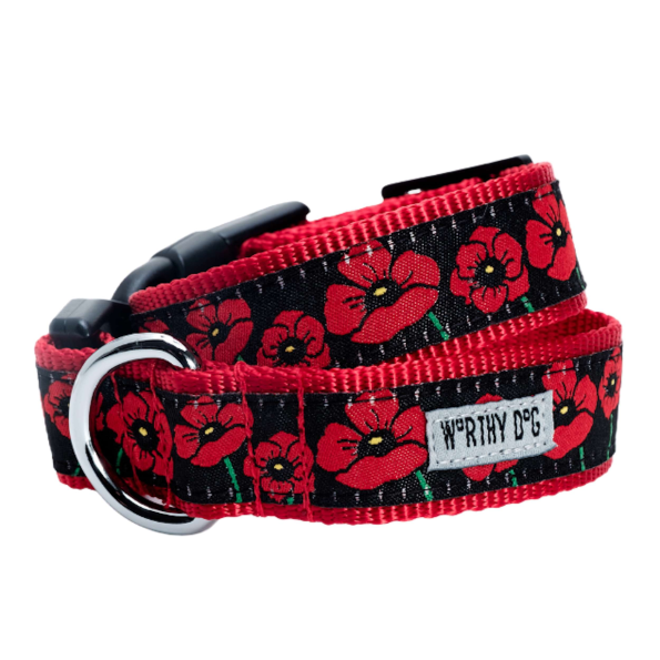 POPPIES-DOG-COLLAR_97e8ade0-bb46-4295-abdb-cf556e816291