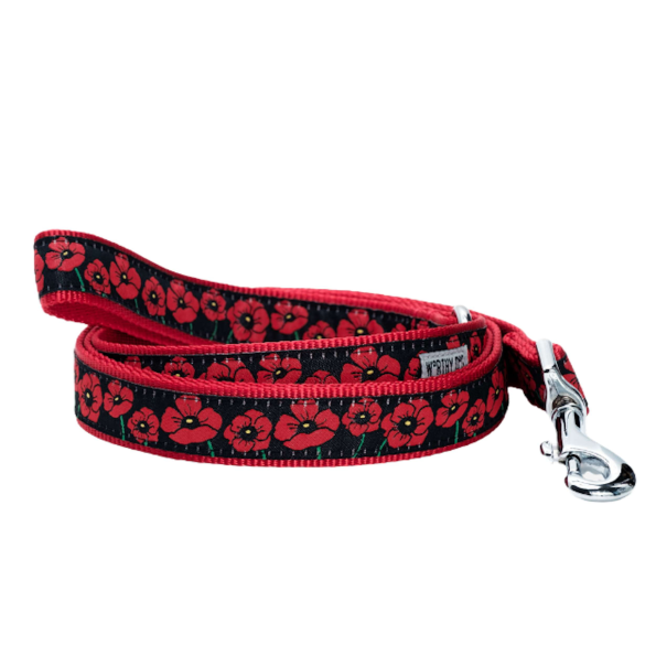POPPIES-DOG-LEASH_1a0d7200-9be0-4eb2-a678-9d88a1edbd22
