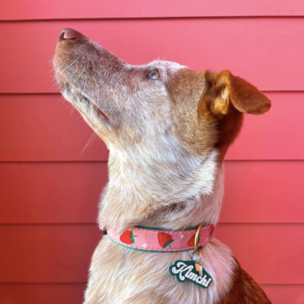 STRAWBERRY-DOG-COLLAR