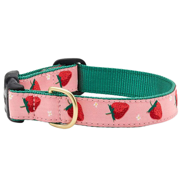 STRAWBERRY-FIELDS-DOG-COLLAR