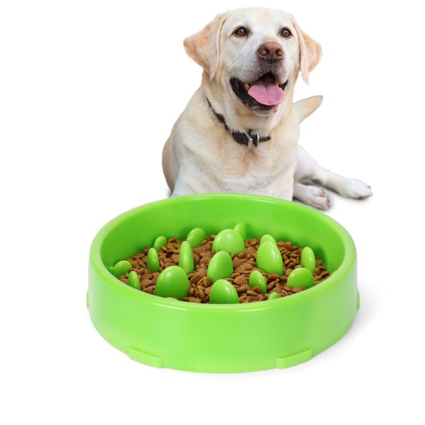 SlowFeederDogBowl_3