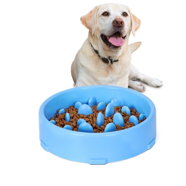 SlowFeederDogBowl_4