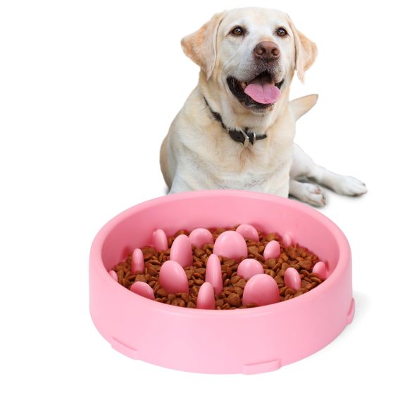SlowFeederDogBowl_6
