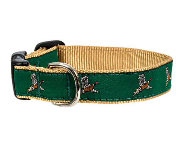 pheasant-dog-collar